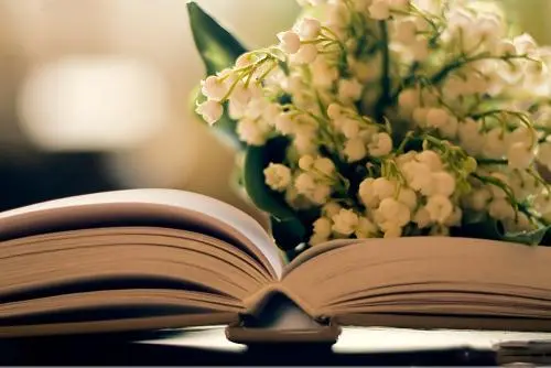 4个月涨粉15万，知识博主口播文案写作秘诀