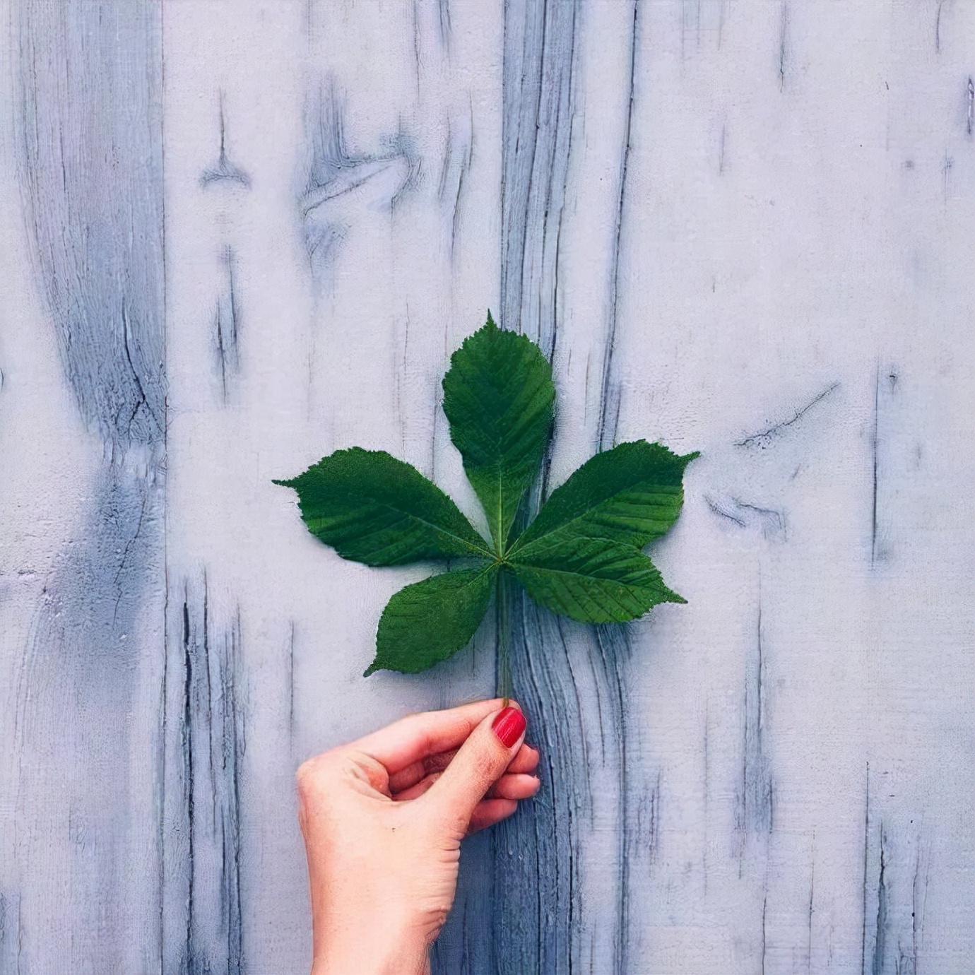 心理学：5500字干货，深度剖析“完美主义”如何限制了你的人生？