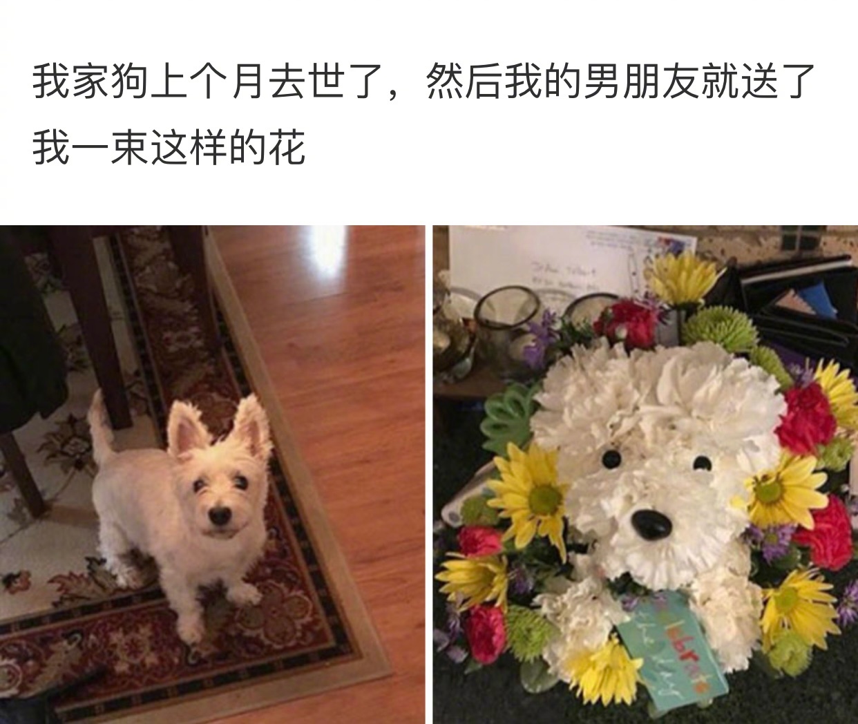 送给对象的小礼物（送比较有心的礼物）