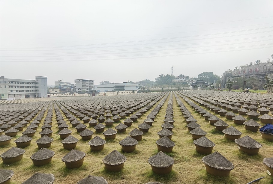 四川省微生物学会常务理事单位永兴诚公司接受脱贫攻坚成果评估