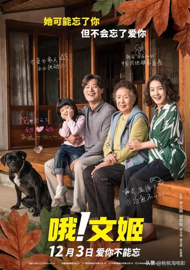韩影《哦!文姬》突然定档!过去六年我们还错过了这些电影
