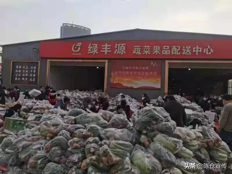 宝鸡陈仓区紧急筹备超700吨“爱心菜”驰援西安！