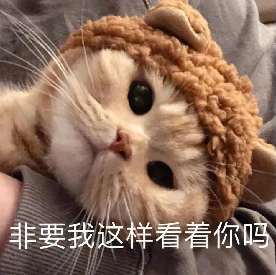 猫咪有这5个行为,说明它是"白眼狼",养不熟的_宠