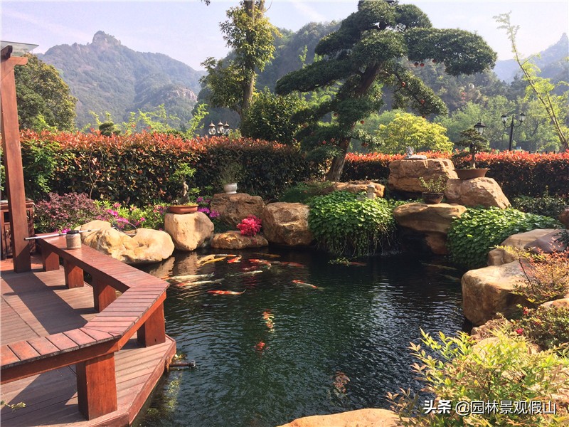 庭院鱼池：把我这五点做得又美又好看