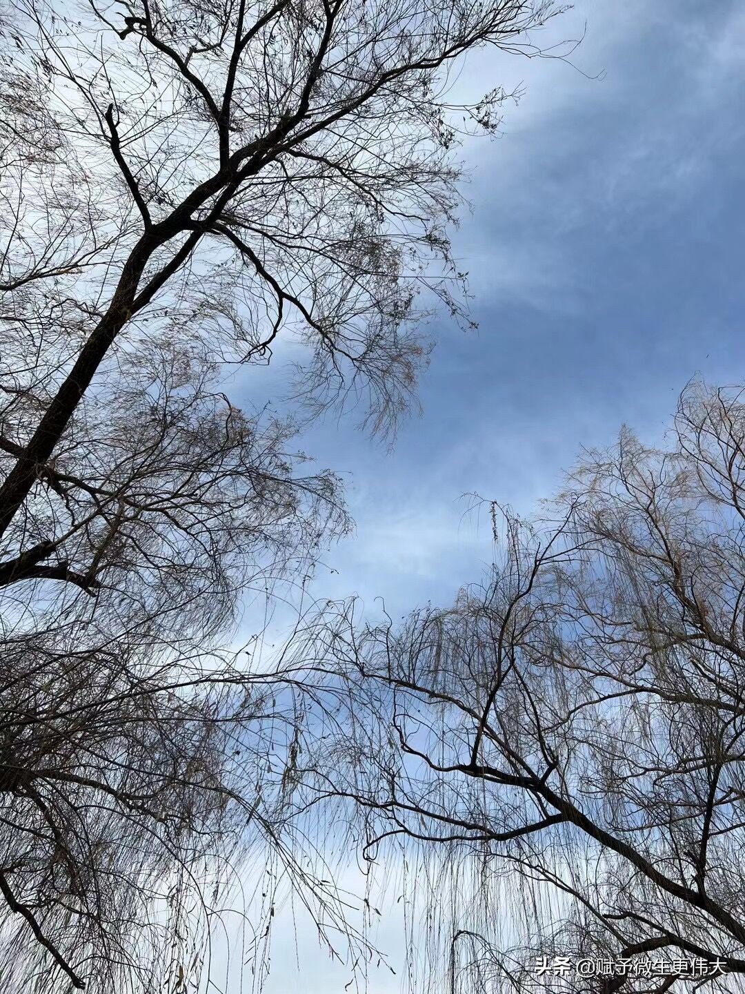 柳云宣——服务新起点，腐植酸人一家亲
