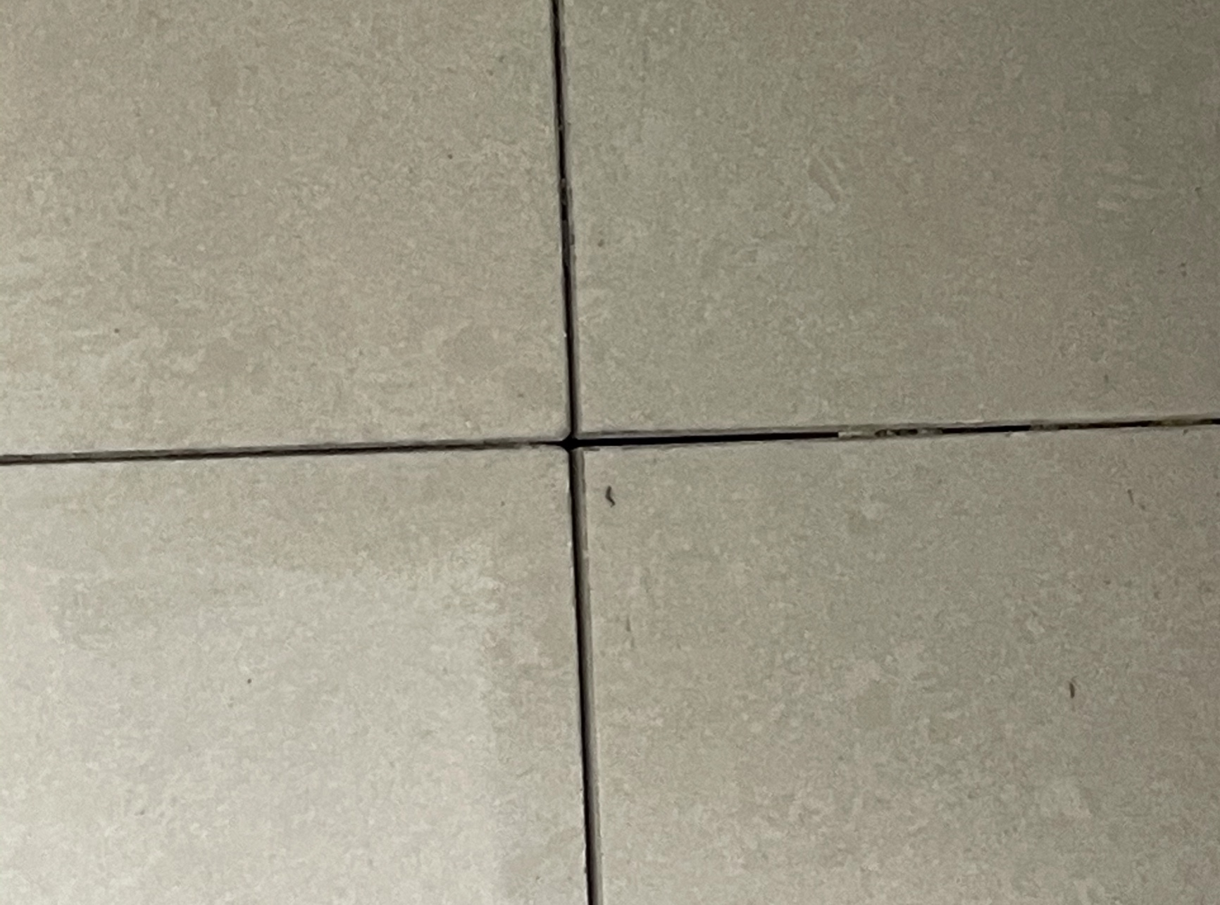 花小钱办大事，这10个家居小物虽便宜，却每个都能戳中家居痛点