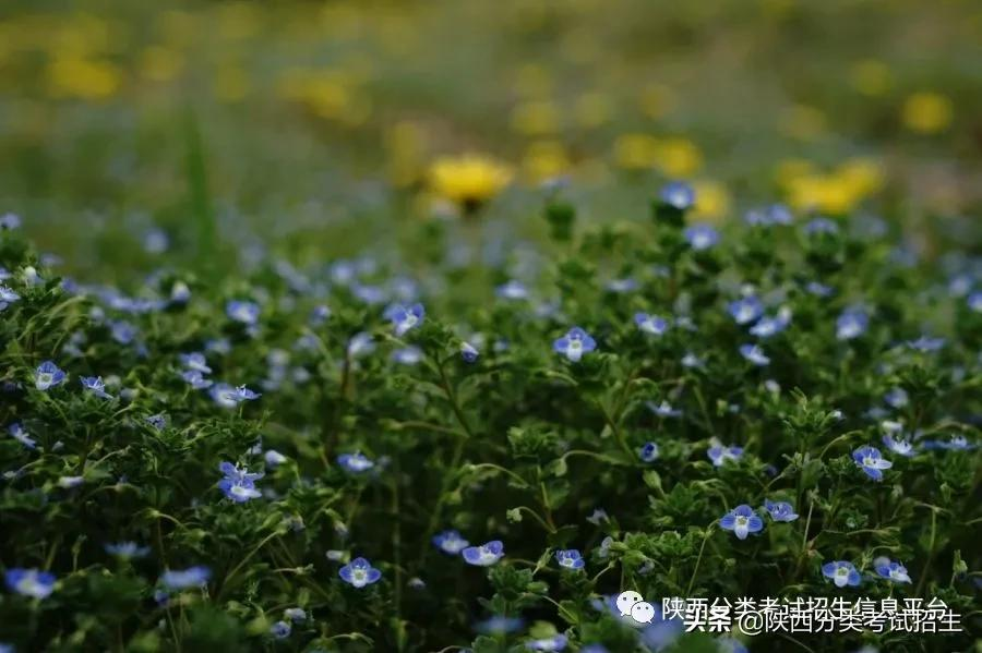 院校风采 || 走进“示范高职院校”—西安电力高等专科学校