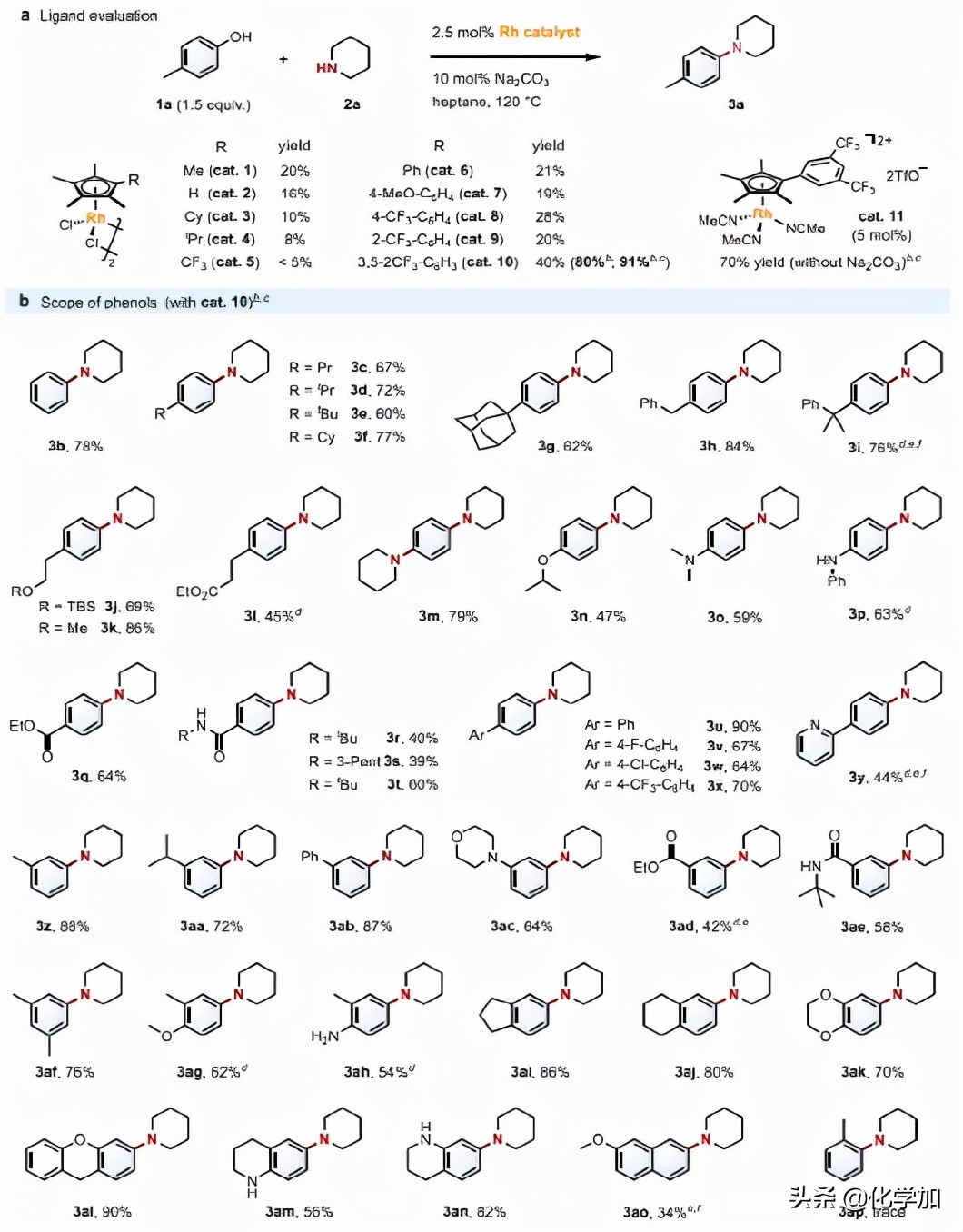 西湖大学石航课题组JACS：苯酚的催化胺化