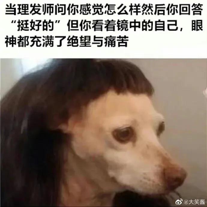 一千左右的男生礼物（十万左右的礼物送男生）