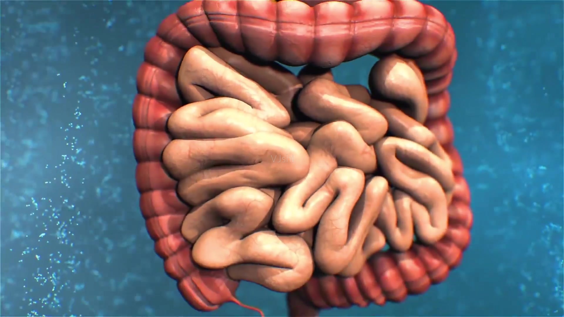 大便“前头干硬，后边软稠”，意味着啥？3种原因你可能没注意到