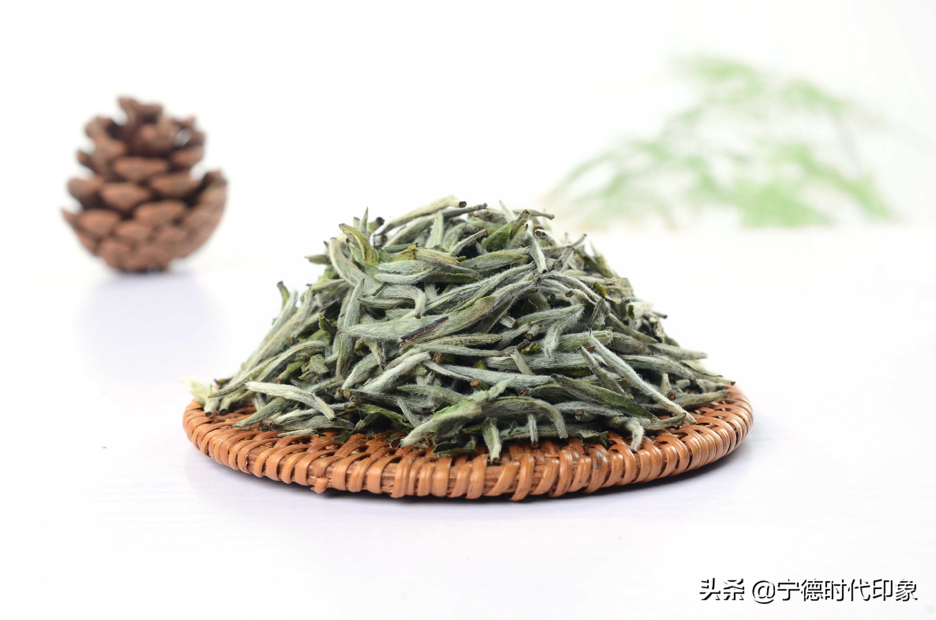 中国十大名茶，中国名茶有哪些，名茶大盘点