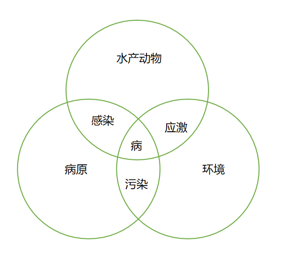 水产病害的三元理论告诉我们，只做消杀，也许是治标不治本