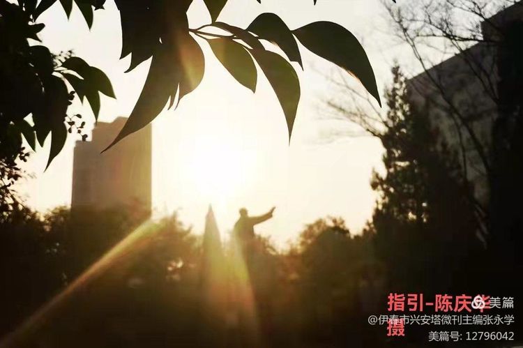 铁十四师战友《辞旧迎新》网上联欢晚会专辑！美篇制作：张永学