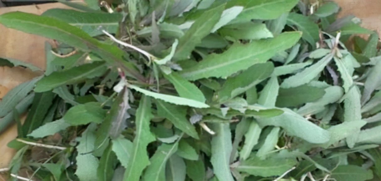 31種野菜大合集，帶你認識不同的野菜和吃法，你想要的野菜這裡有