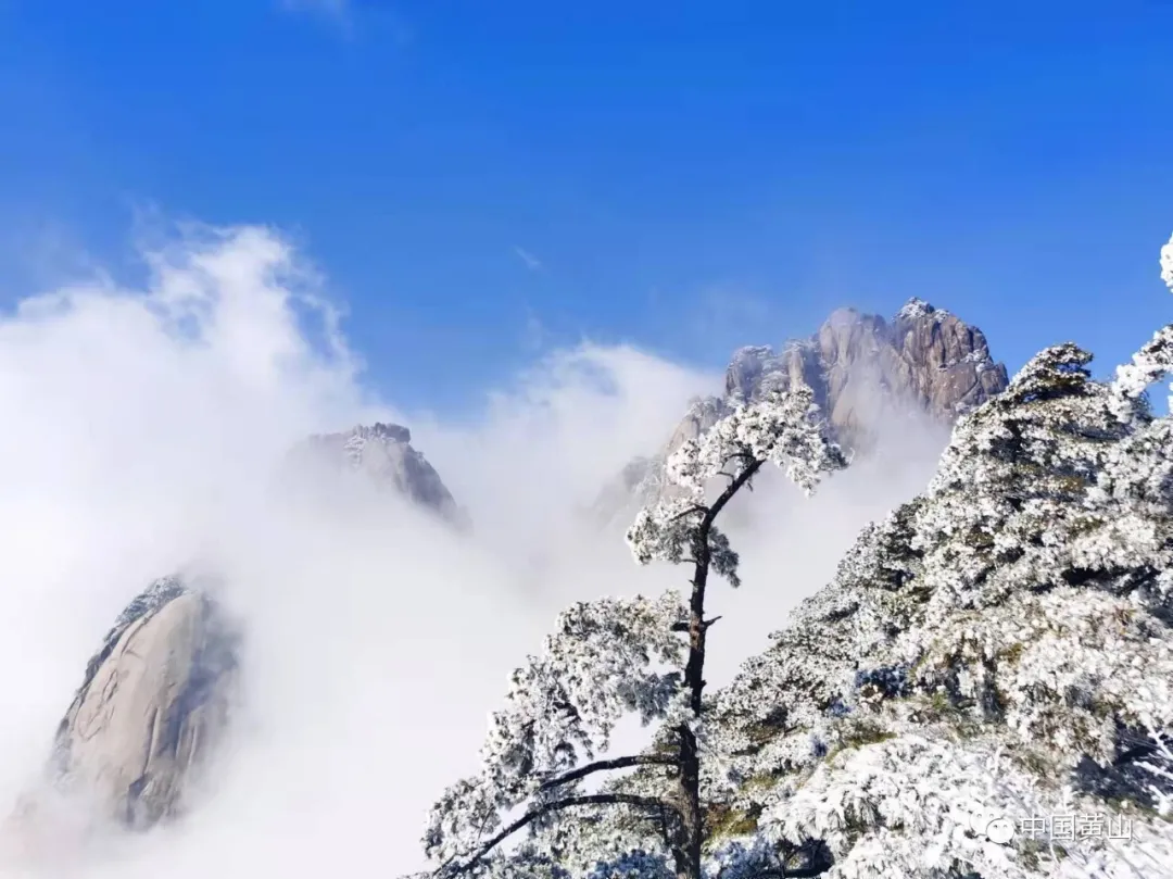 黄山雪后初霁,日出云海齐现美如仙境