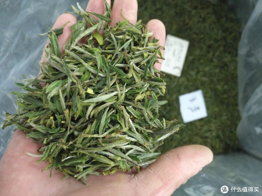 “十大名茶”哪些值得喝？盘点京东上那些好喝的十大名茶茶叶