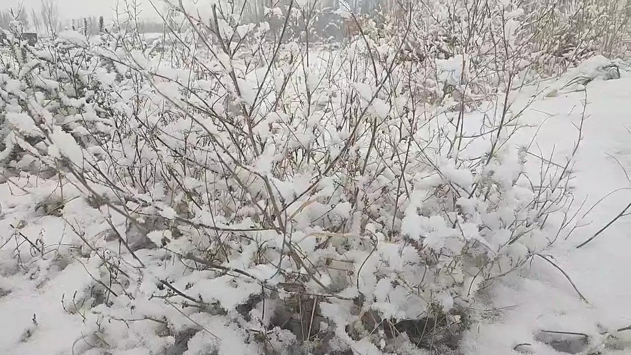 自媒体到底赚不赚钱，对于新手这是好平台吗？