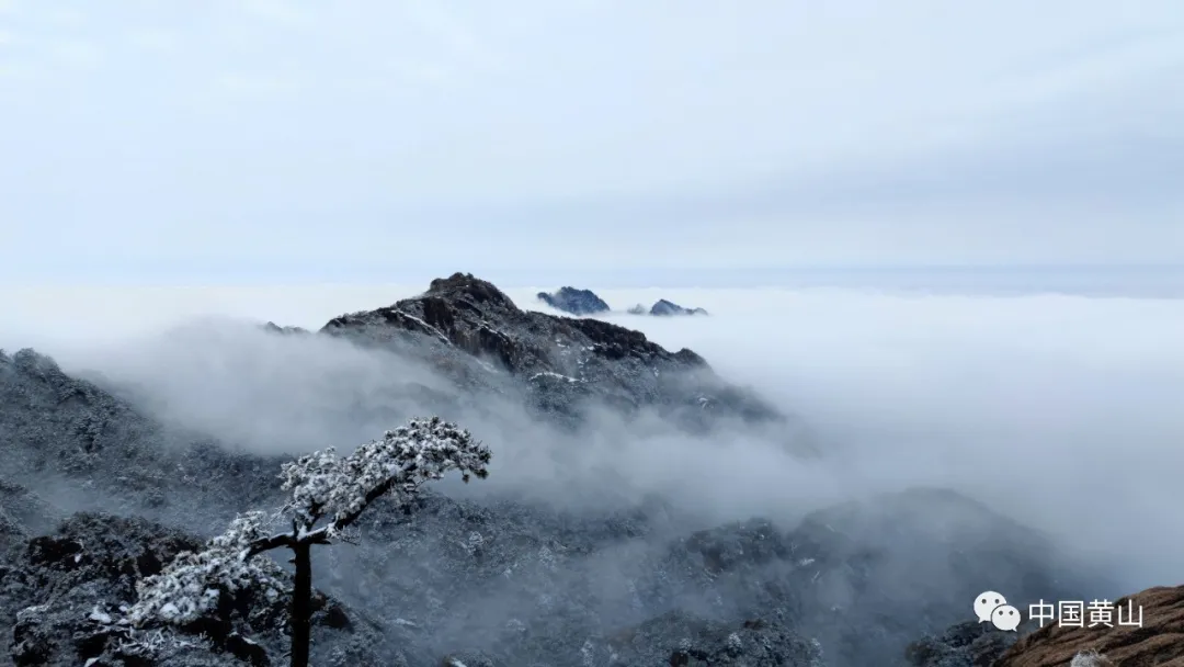 黄山雪后初霁,日出云海齐现美如仙境