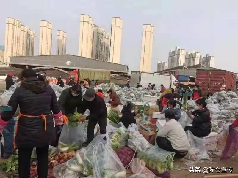 宝鸡陈仓区紧急筹备超700吨“爱心菜”驰援西安！