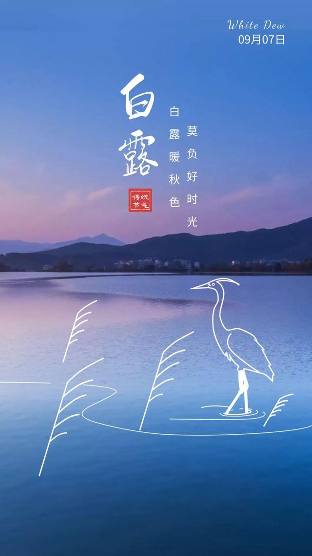白露图片配图唯美高清带字大全,白露朋友圈问候语文案句子最新消息