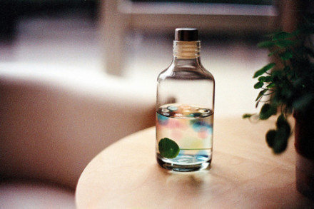 心理学：5500字干货，深度剖析“完美主义”如何限制了你的人生？