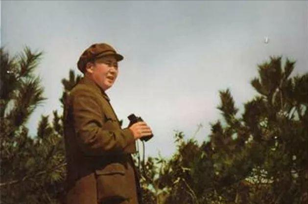 ��û�г���ս����1950�����һ�ٽ��̨�壿ë��ϯ����η�����