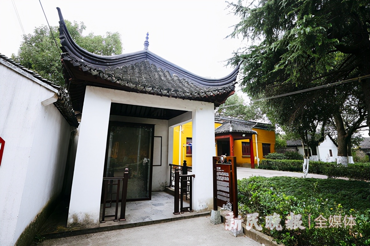 寻宋江南｜青浦金泽：在700岁古银杏树下探寻“不断云”