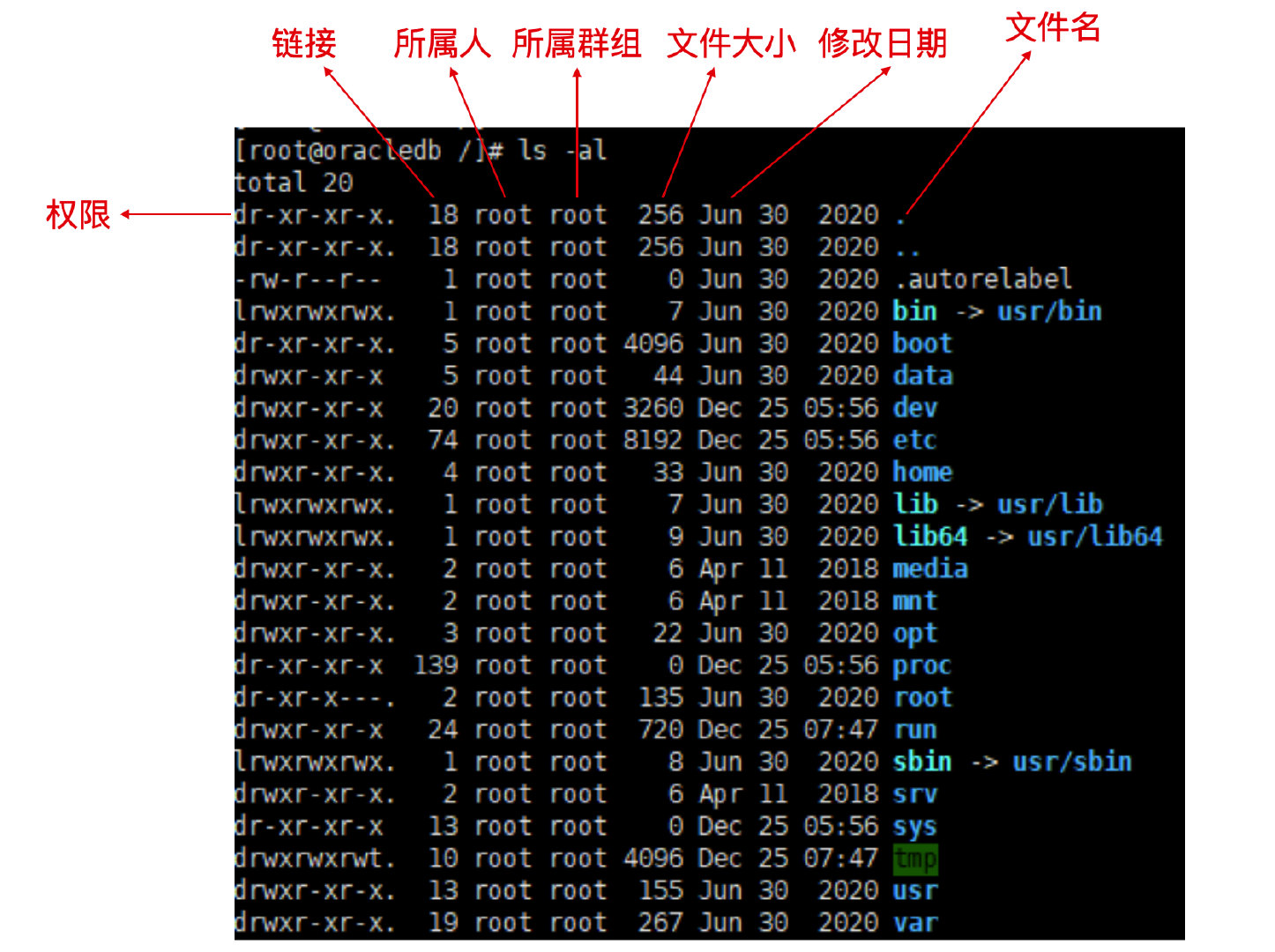 看完这篇 Linux 权限后，通透了