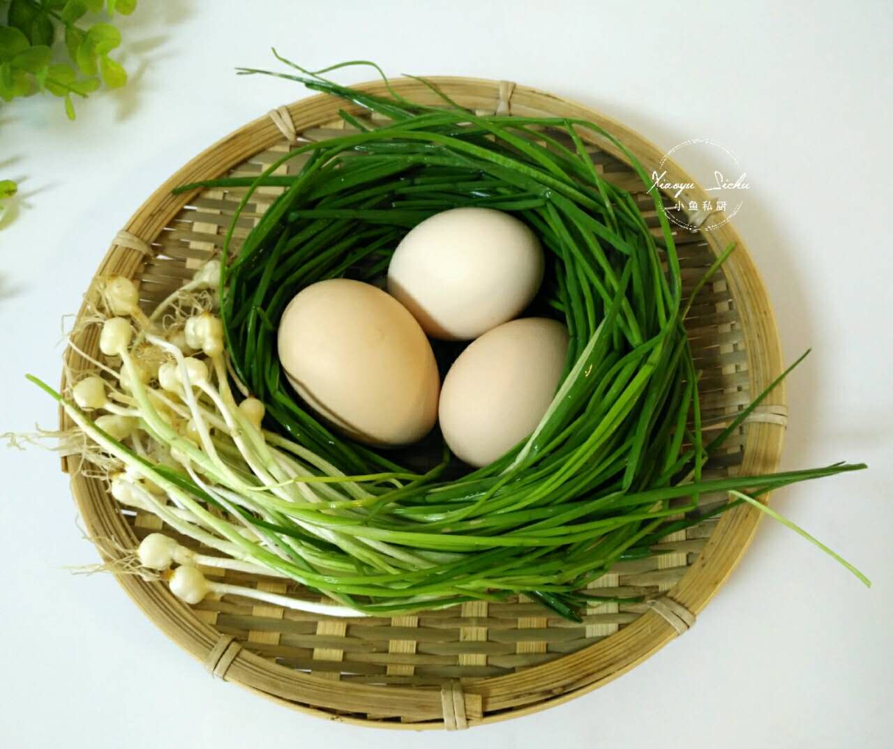 31種野菜大合集，帶你認識不同的野菜和吃法，你想要的野菜這裡有