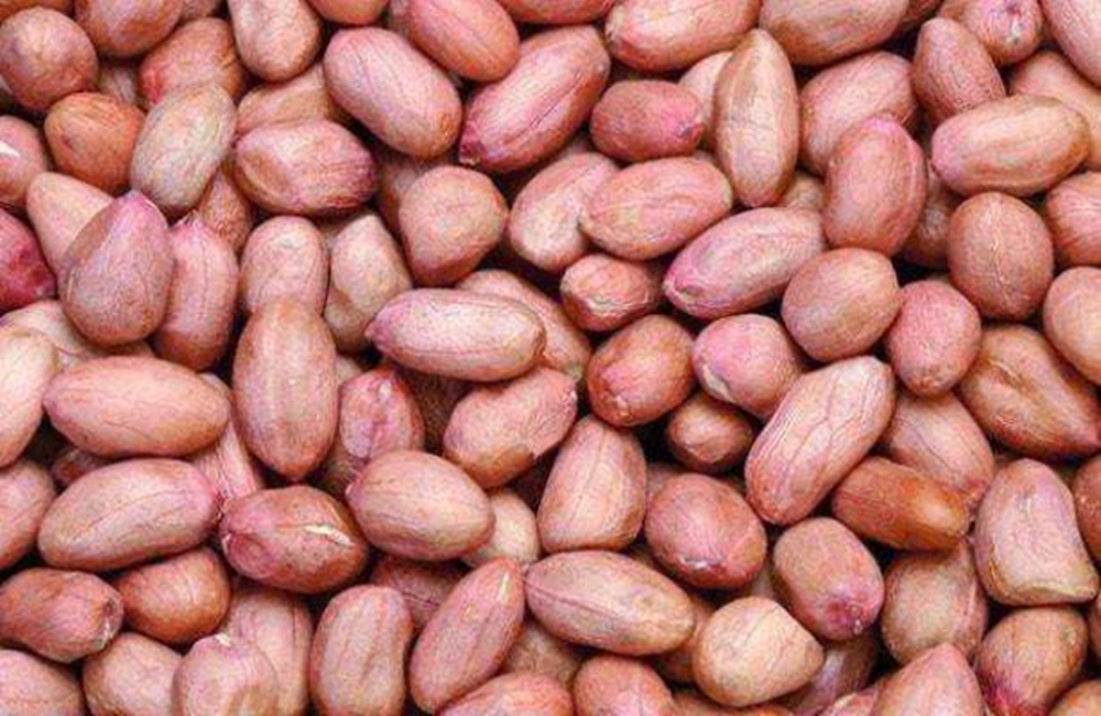 “炸花生米”不要先放油，教你一个正宗做法，花生香脆皮不焦