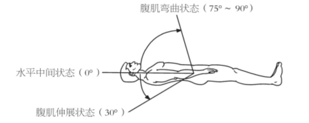 仰卧起坐的正确姿势