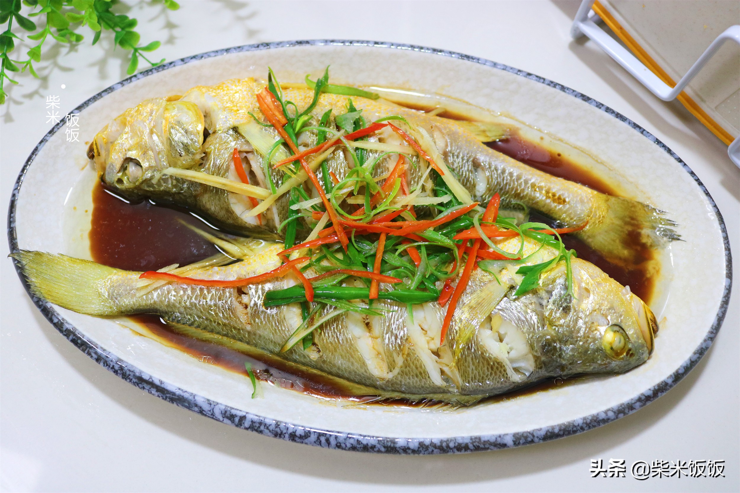 这种鱼，肉多刺少营养高，大火一蒸十分钟上桌，比红烧还好吃