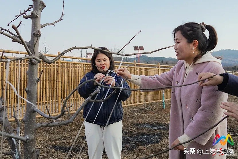 委员风采丨铿锵玫瑰的“中医药大健康产业梦”