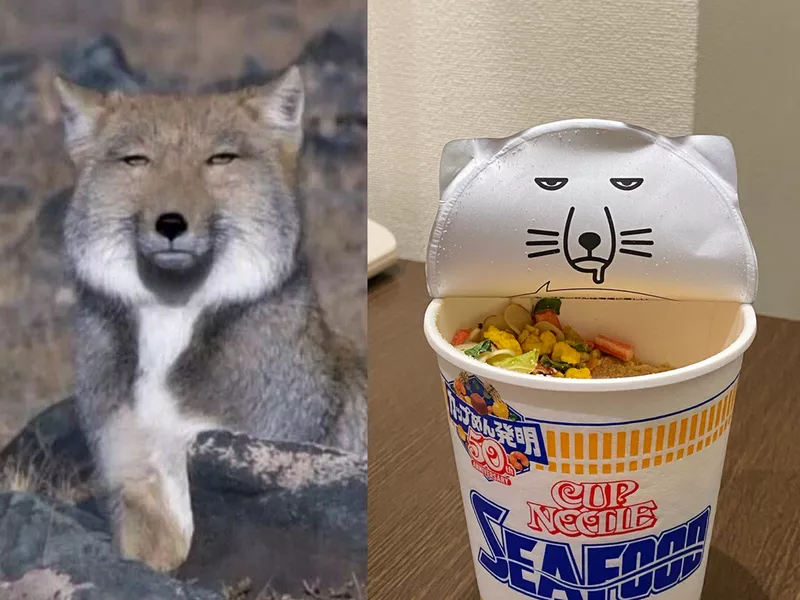 味道大师，营销鬼才…“不靠谱”的日清杯面里还藏着多少秘密？