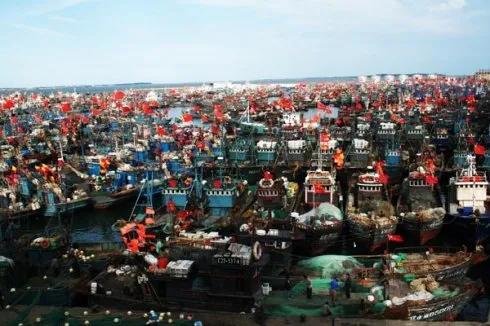 以“三湾一口”生态整治为重点，建设海洋生态文明