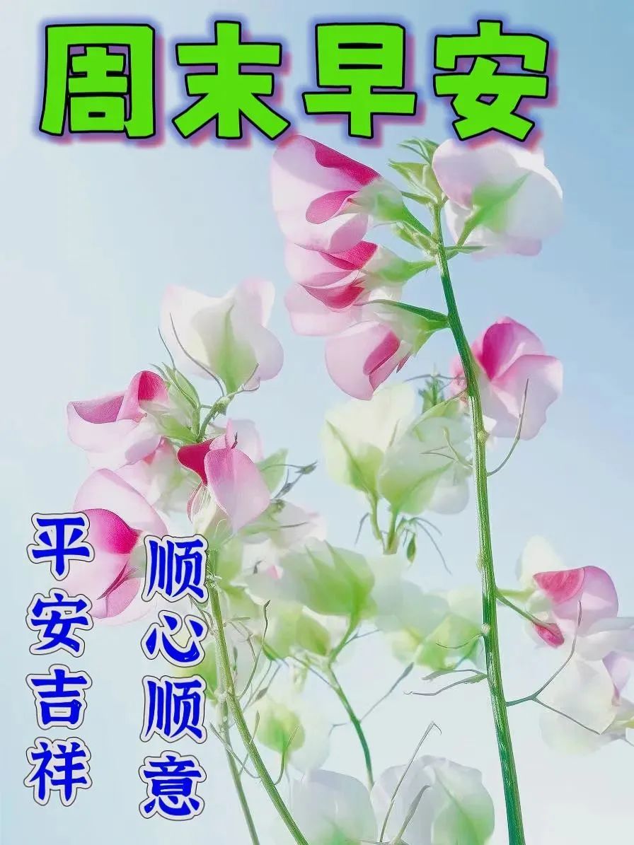 6月4日周日早上好,请问唯美温馨祝福图片最新消息动态公布-北斗民商大