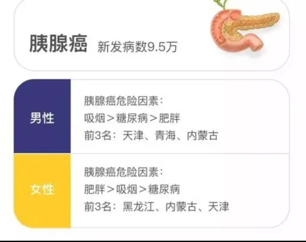 腹痛、消化不良不一定是老胃病，可能胰腺作怪，“癌王”什么特点