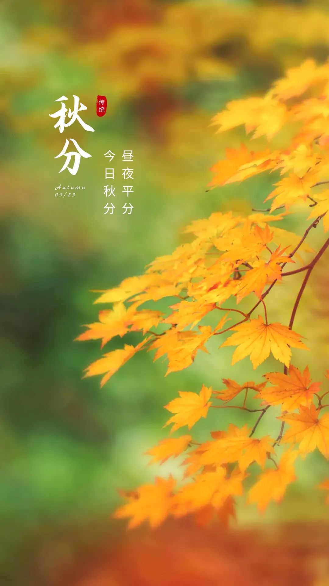 秋分图片配图高清唯美简单带字,秋分文案朋友圈祝福语吉祥语最新消息