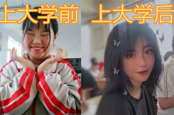 大学女生宿舍违禁品“大赏”，男同学自愧不如，宿管阿姨已暴走