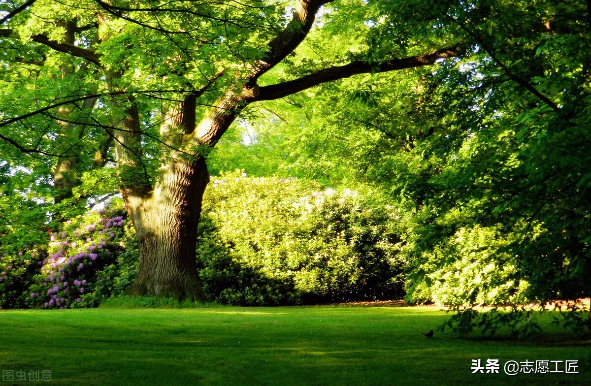 农业大学都有什么专业（大学专业）