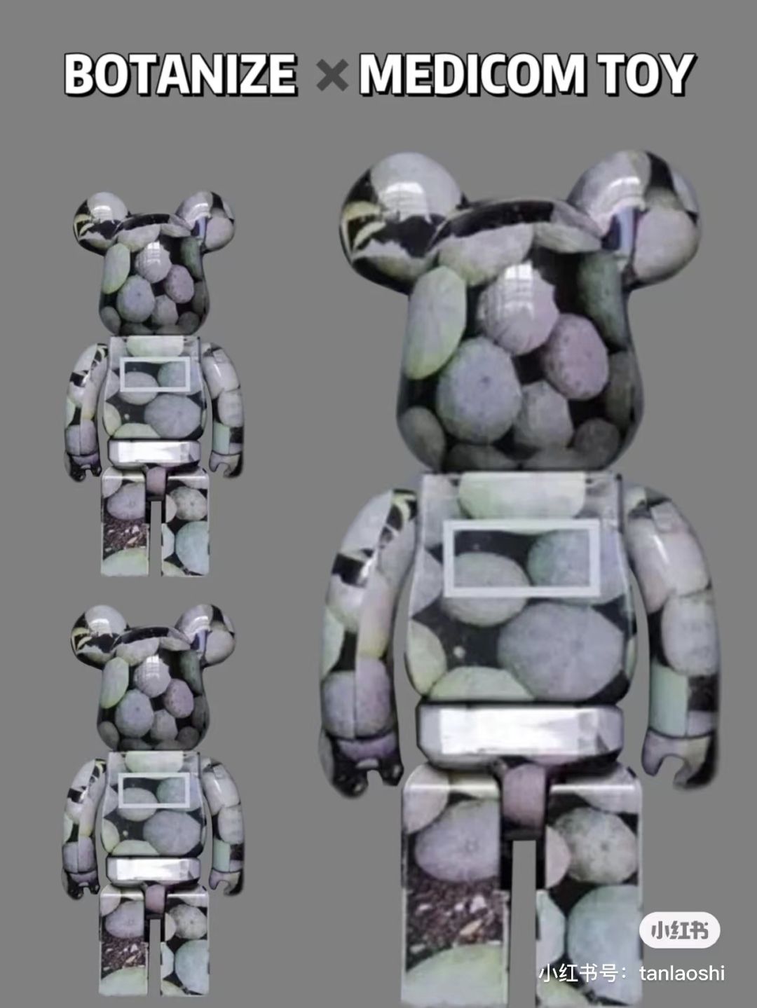 潮流圈开始“炒”植物了？花盆竟高达三四万