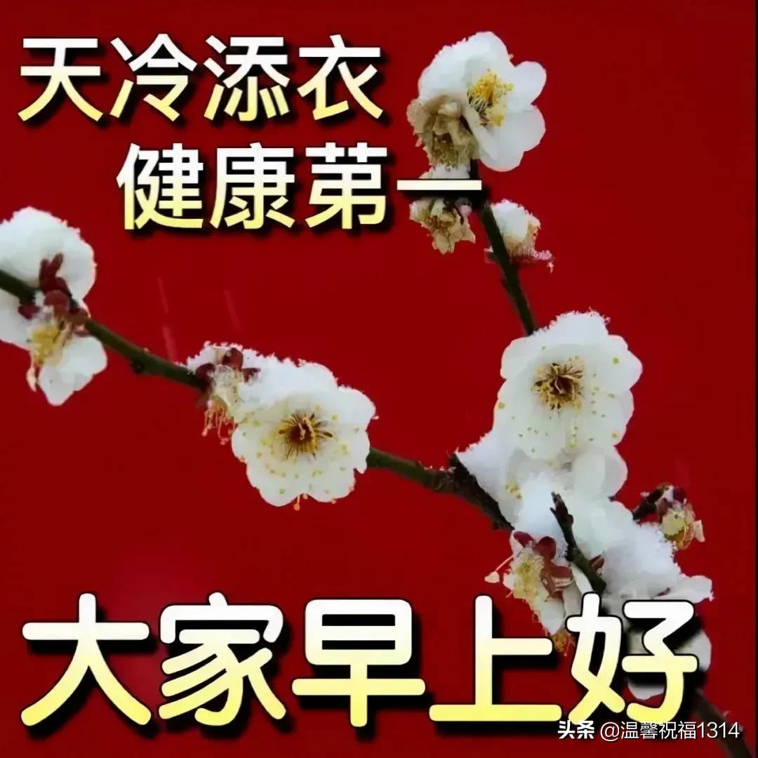 冬天早安最火圖片帶字