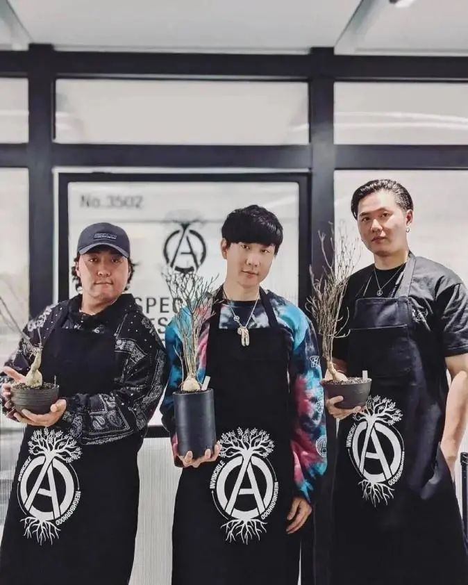 潮流圈开始“炒”植物了？花盆竟高达三四万