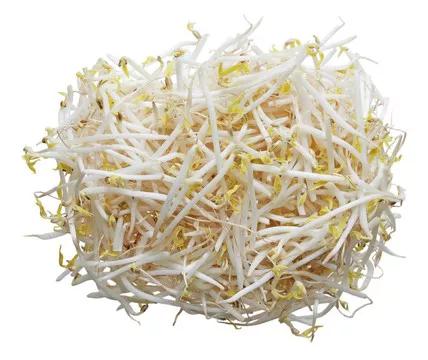 一碗绿豆一盆水，6~7天出豆芽，热炒凉拌味道美