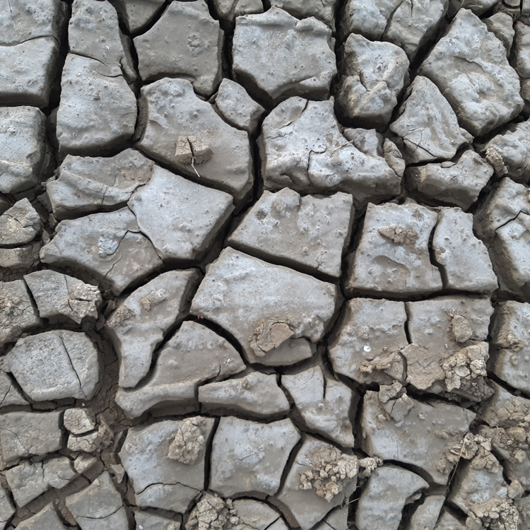 你有密集恐惧症吗？7张图测试一下，看看你能坚持到第几个