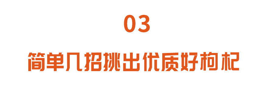 養生佳品枸杞，吃不對反“傷身”！ 做對兩點，搭配好搭檔營養翻倍