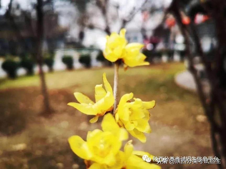 院校风采 || 走进“示范高职院校”—西安电力高等专科学校