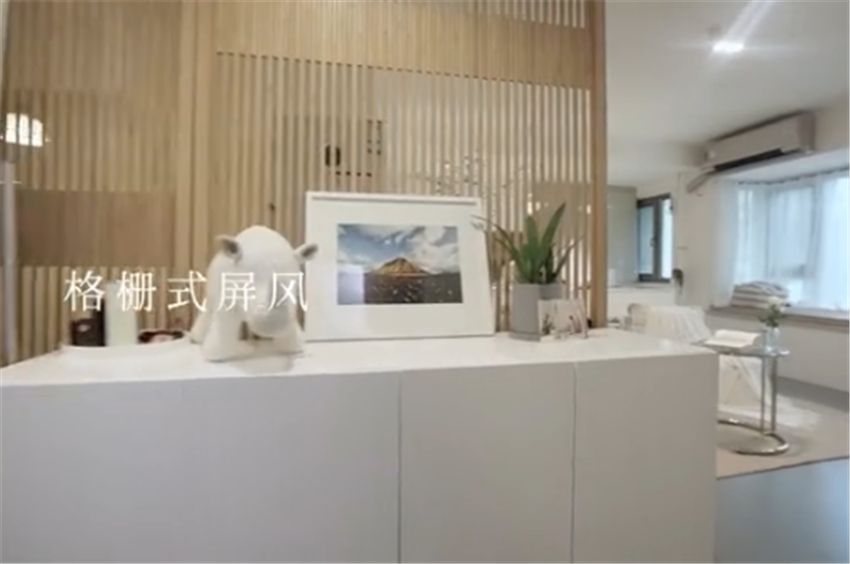 姑娘曬出極簡小家：58㎡一室一廳，一人一貓居住倍感舒適