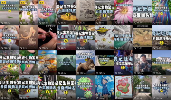 短視頻開(kāi)啟知識(shí)獲取新階段