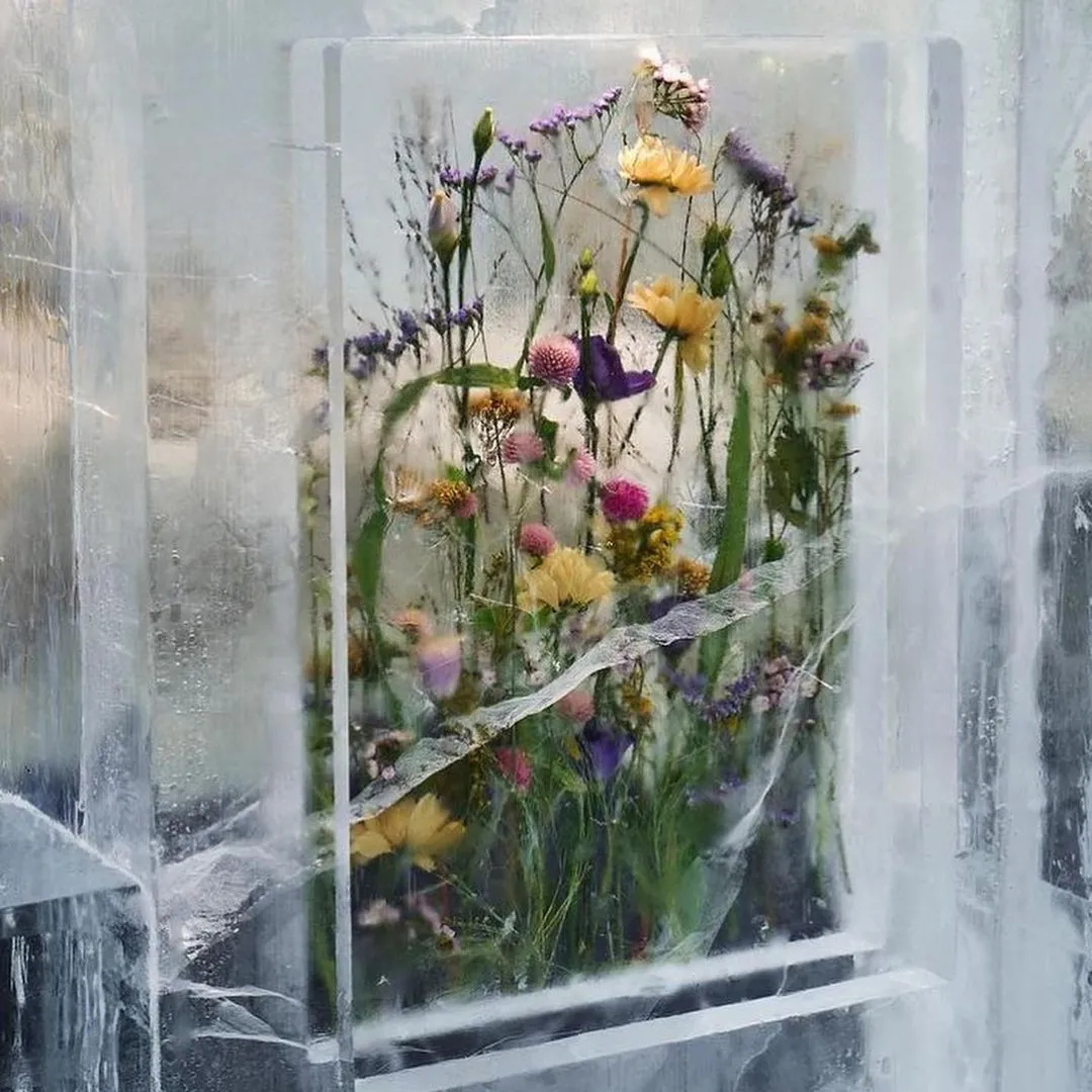 冰冻的鲜花,是花艺师对生命的反哺